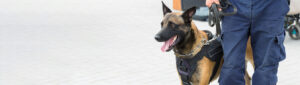 Image of Police K9 Unit